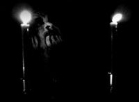 UNHUMAN DISEASE