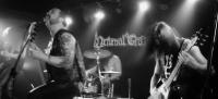 NOCTURNAL GRAVES