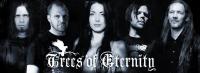 TREES OF ETERNITY