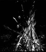 DARK FURY