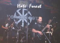 HATE FOREST
