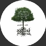 OBTEST : Gyvybes Medis