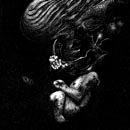 WOMB C : Womb C