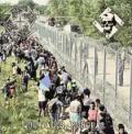 STORMHEIT / STRAIGHT ARM SALUTE: Quo Vadis, Europa?