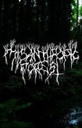 MISANTHROPIC FOREST: Demo 2017