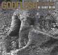 GODFLESH: Pure / Cold World / Slavestate 2ND HAND