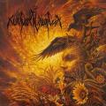 NOKTURNAL MORTUM: Verity