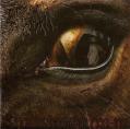 CARACH ANGREN: Lammendam