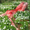 LIFELOVER: Pulver