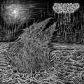 ASCENDED DEAD: Abhorrent Manifestation