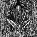 ILDJARN: Forest Poetry