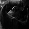 ADVERSARIAL: Prophetic Plain of Abyssal Revelation 2ND HAND