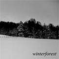 GOATMOON / DEAD REPTILE SHRINE: Winterforest