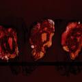 DEATHSPELL OMEGA: Kénôse