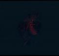 S.V.E.S.T.: Urfaust 2ND HAND