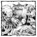 DISASTROUS MURMUR: Skinning Beginning 1989 - 1991