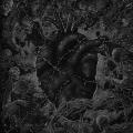 HORNA / PURE: Horna / Pure