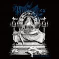 PROFANATICA: Altar of the Virgin Whore