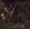 EMPEROR: IX Equilibrium