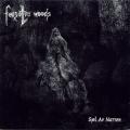 FORGOTTEN WOODS: Sjel av Natten