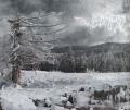 WEDARD: Eiskrieg II