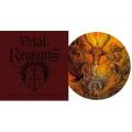 VITAL REMAINS: Dawn of the Apocalypse