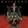 NÅSTROND: Age of Fire