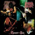MORBID ANGEL: Entangled in Chaos