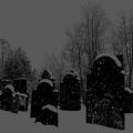 HORNA / SACRIFICIA MORTUORUM: Split