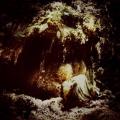 WOLVES IN THE THRONE ROOM: Celestial Lineage