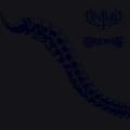 DEVILRY / RAVENING: Devilry / Ravening