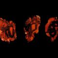 DEATHSPELL OMEGA: Kénôse