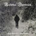 NOCTURNAL DEPRESSION: Four Seasons to a Depression