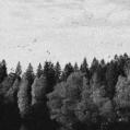 OCTOBER FALLS: A Collapse of faith