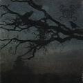 VELNIIAS: Sovereign Nocturnal
