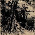 W.A.I.L.: Wisdom Through Agony into Illumination and Lunacy
