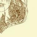 LORD VICAR / FUNERAL CIRCLE: Split
