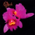 OPETH: Orchid