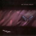 MY DYING BRIDE: Like Gods of the Sun