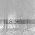 HATE FOREST: Temple Forest