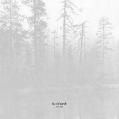 HATE FOREST: The Curse