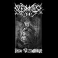 NEKROKRIST SS: Der Todesking