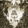 CLAWS: Absorbed in the Nethervoid
