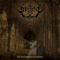 INFINITY: The Arcane Wisdom of Shadows