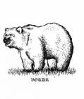 VORDR: Vordr