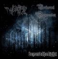 WEDARD / NOCTURNAL DEPRESSION: Beyond the Light
