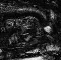 ANTEDILUVIAN / TEMPLE NIGHTSIDE: Cogitating Vacuous