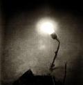 ABYSSAL: Denouement