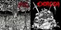 MORBID EXECUTION / EXORCISM: Split