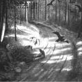 BURZUM: Hvis Lyset Tar Oss 